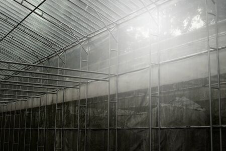 dark interior of metal structure with transparency plastic of green agricultural plantation house backgroundの写真素材