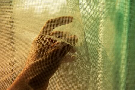 woman hand behind net curtain in the blue orange morning light from window 