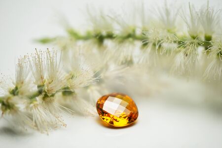 yellow golden luxury gemstone in oval cut with soft white nature flower fashion background