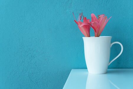 orange red flower in white ceramic cup with blue concrete wall backgroundの写真素材