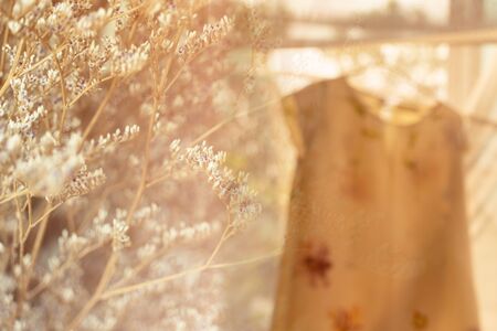 soft sunlight romantic beige white dried nature flower blur with woman hanging dress cloth for fashion backgroundの写真素材