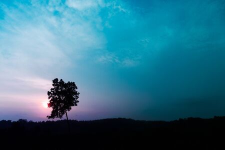 dark black silhouette tree at sunset in fantasy purple blue sky nature field landscape backgroundの写真素材