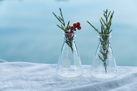 two science glass flask with organic green plant and red fruit for cosmetic biotechnology research...