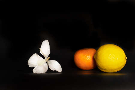 nature fresh yellow lemon and orange tangerine fruit and white flower for food on black backgroundの写真素材