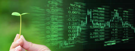 woman hand with small plant and candle stick graph line of trade market stock and price index number...