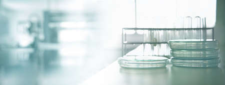 glass petri dish or plate and test tube in medical microbiology lab white banner backgroundの写真素材