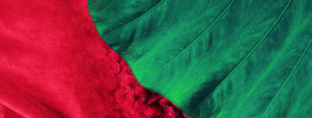 blue dark green nature leave and red velvet fabric abstract natural banner backgroundの写真素材