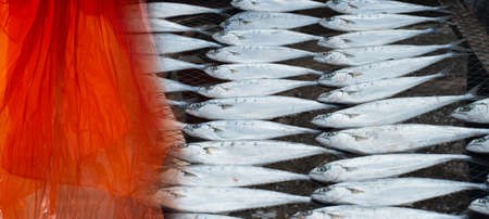 orange plastic sheet and fish in garbage marine environment pollution conceptの写真素材
