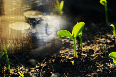 growing green seedling or small tree on soil with money stack and stock market index business investment backgroundの写真素材