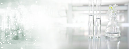 clear glass flask with flower and two test tube with white data information in cosmetic science lab banner backgroundの写真素材