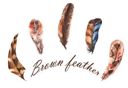 Set of watercolor brown feathers, painted by handの写真素材