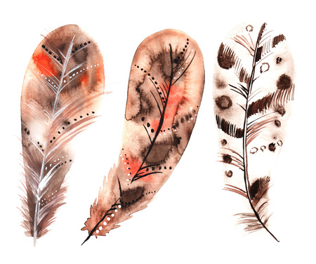Set of three watercolors beige feathersの写真素材