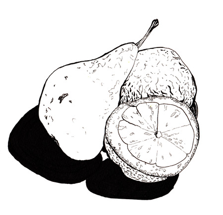 Still , pear and lemon halves , hand-drawn style graphics quality black and white . Transferred texture lemon and small bumps and roughness pears, talking about her style and tasteの写真素材