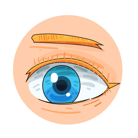 eyeのイラスト素材