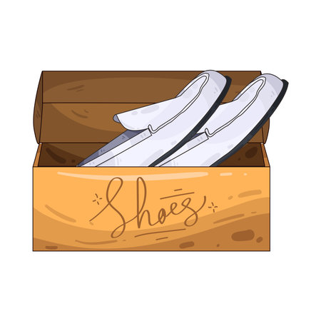 white loafers boxのイラスト素材