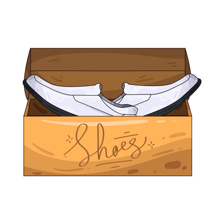 white loafers boxのイラスト素材