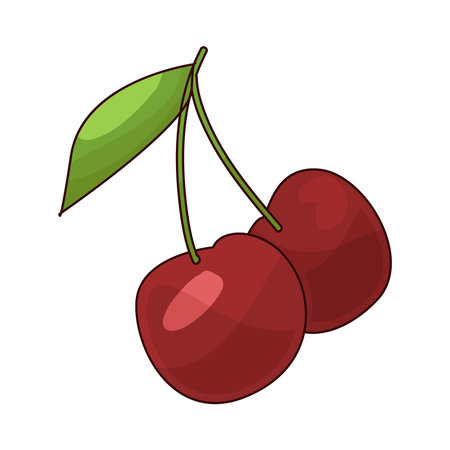 cherryのイラスト素材