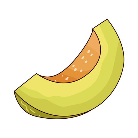 melon sliceのイラスト素材