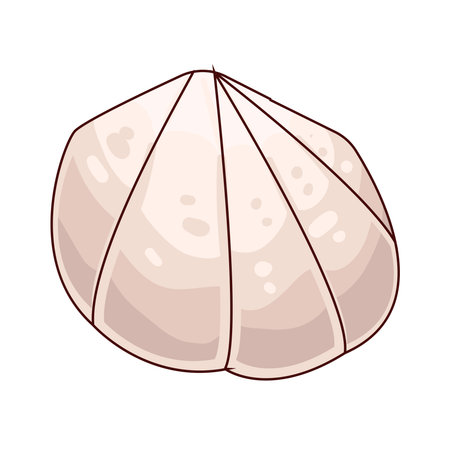 seashellのイラスト素材