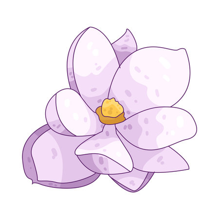 magnolia flowerのイラスト素材