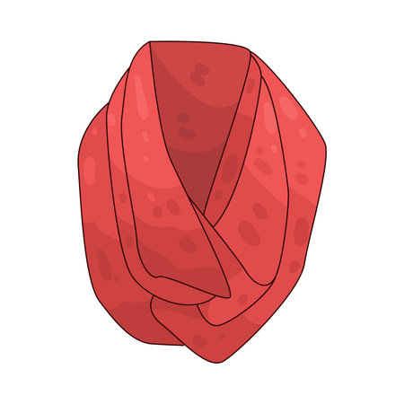 shawlのイラスト素材