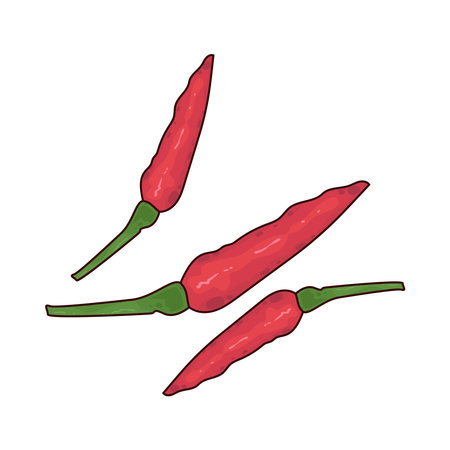 red chili pepperのイラスト素材