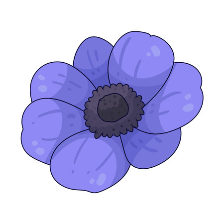 Purple anemoneのイラスト素材
