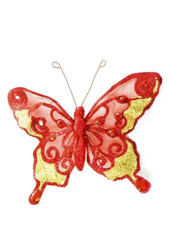 Red butterfly isolated on white backgroundの写真素材