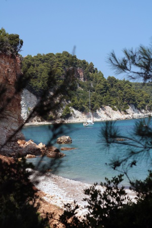 Spying a boat behind a tree at Spartines beach in Alonissos of Greeceの写真素材