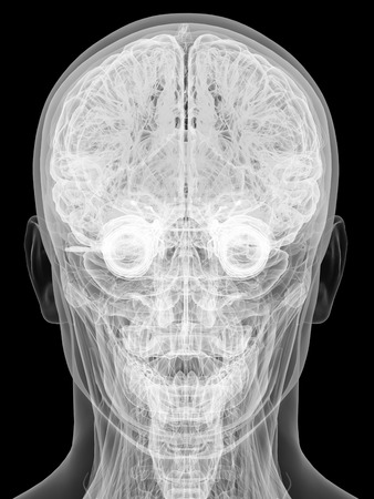 X-ray view of human head isolated on black background. High resolution 3D imageの写真素材
