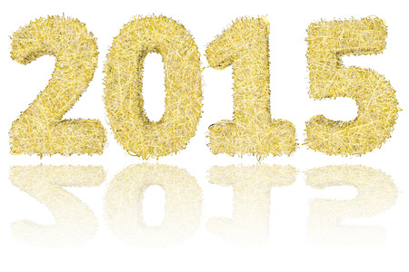 2015 digits composed of golden and silver stripes on glossy white background. High resolution 3D imageの写真素材