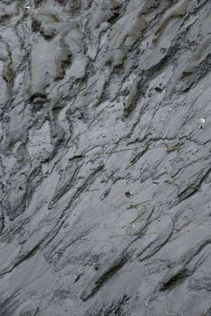 Close up of some wet mud.