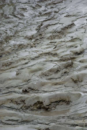 Close up of some wet mud.の写真素材