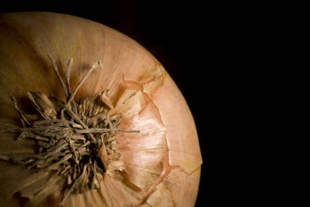 Onion on black backgroundの写真素材
