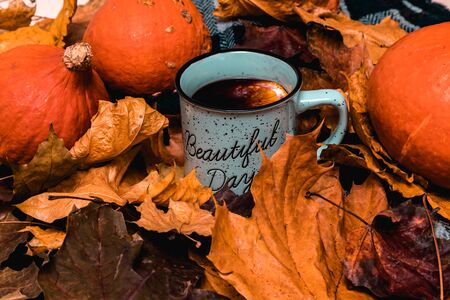 autumn snuff from a mug of mulled wine, fallen leaves and pumpkins.の写真素材
