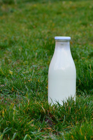Milk constantly in the grassの写真素材