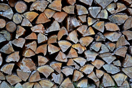 A stack of cut woodの写真素材