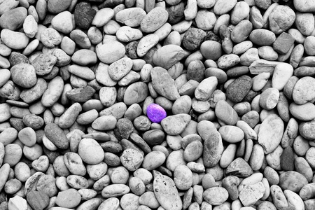 abstract purple rock on b&w rockの写真素材