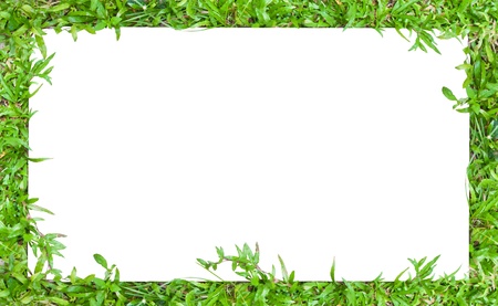 Horizontal image frame in green grass border style To use with horizontal or landscape imageの写真素材