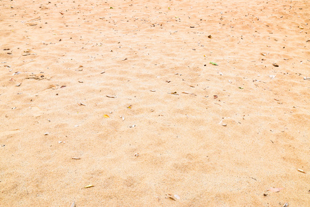 Image of sand beach on the riverside.の写真素材
