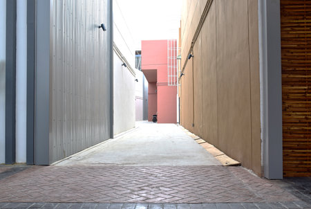 Alley is a narrow passageway between buildings or narrow passageway between something.