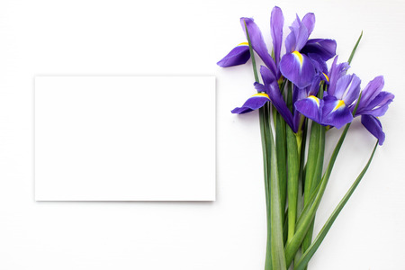Iris Mockup. Post blog social media 8 march. Top view with blank space. Stylish trendy photography.の写真素材
