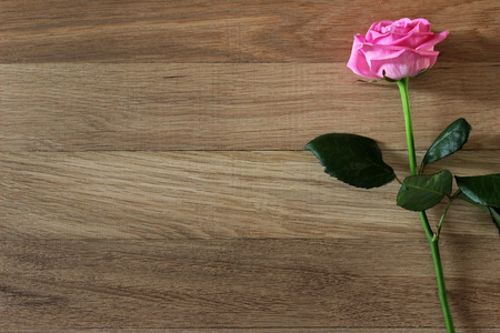 pink rose flower with on rustic wood  background. Mockup for advertisementの写真素材