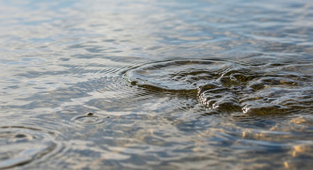 Water ripples on the surface of the water, close-upの素材