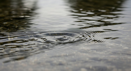 Raindrops on the surface of the water. Water drops on the surface of the water.の素材