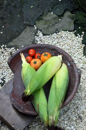 Vegetables in a bowl on the ground in a garden.の写真素材
