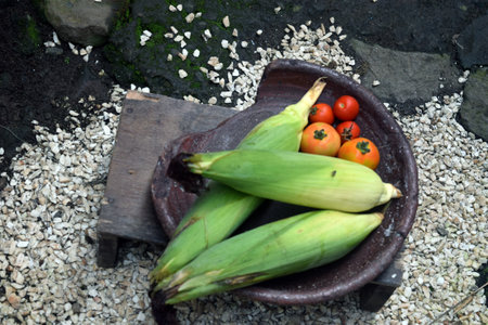 Corn and tomatoes in a clay bowl on the ground in the gardenの写真素材