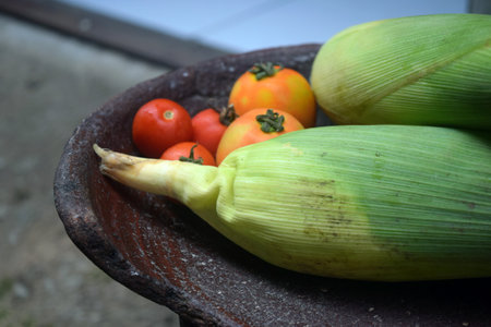 vegetables in a clay bowl on the terrace of the houseの写真素材