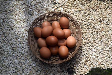 Eggs in a basket on the ground with pebblesの写真素材