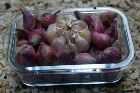 Garlic and shallot in a plastic container on the ground.の写真素材